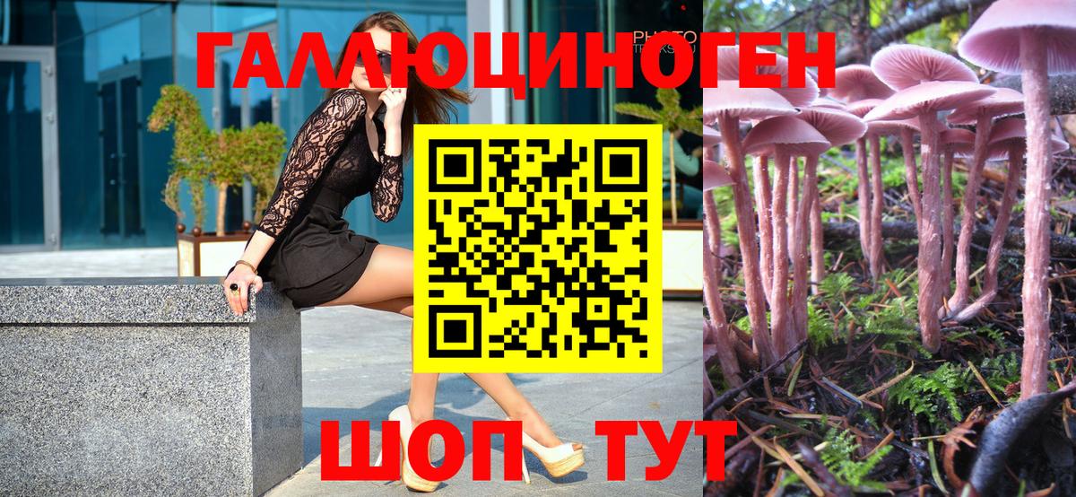 Галлюциногенные грибы Magic Shrooms Киселёвск
